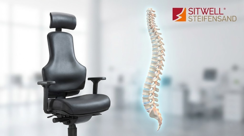 Die Wirbelsäule - Bekämpfen Sie Ihre Rückenschmerzen