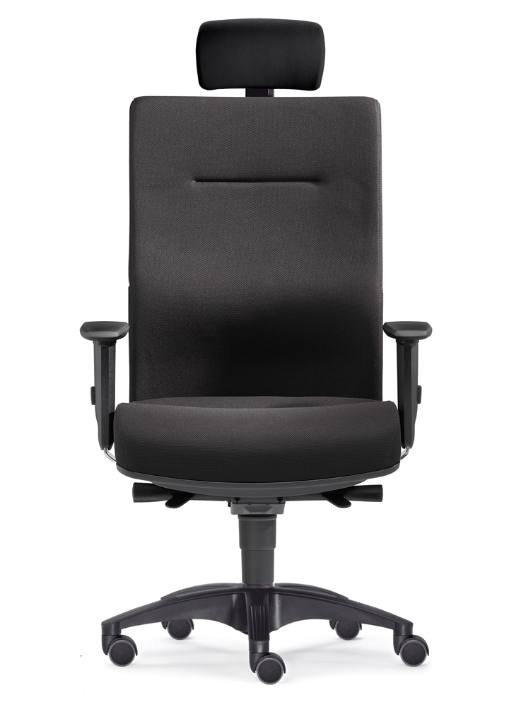 MyChair L mit Kopfstütze